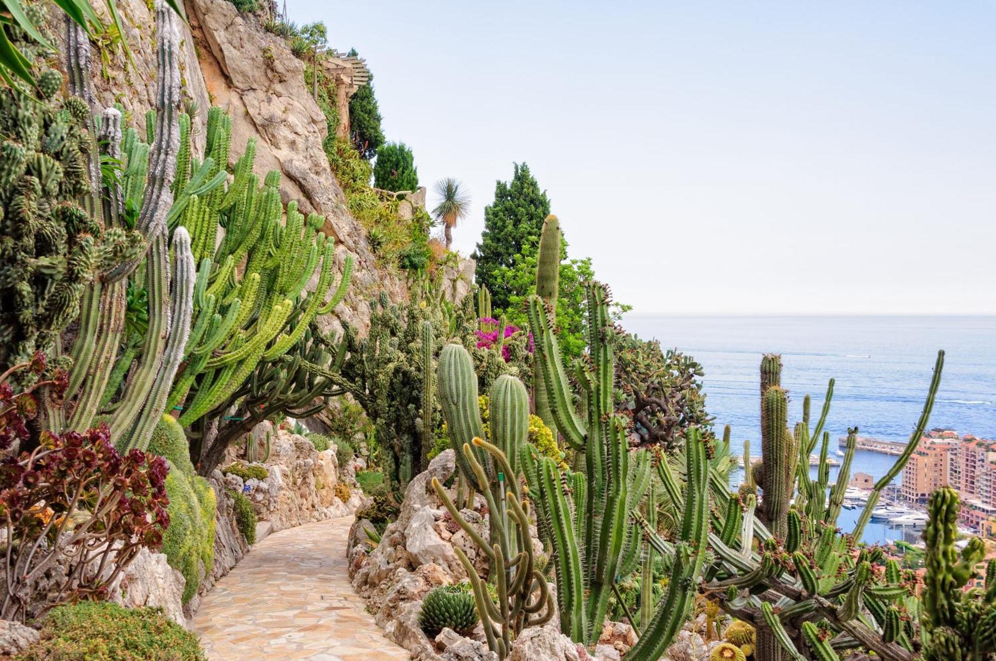 Sejour En Pleine Nature, Vue Imprenable, Jacuzzi Contes  ภายนอก รูปภาพ